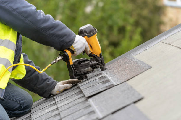 Best Roof Maintenance and Cleaning  in Cecil Bishop, PA