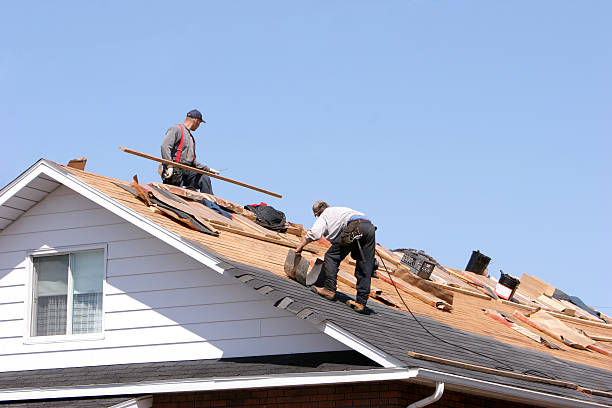 Sheet Metal Roofing in Cecil Bishop, PA